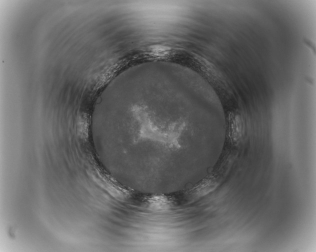 X0000102240562200808151756