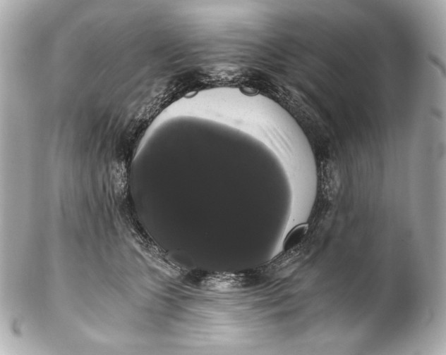 X0000102240563200808151756