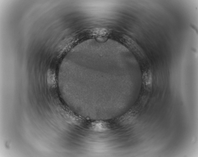 X0000102240564200808151756