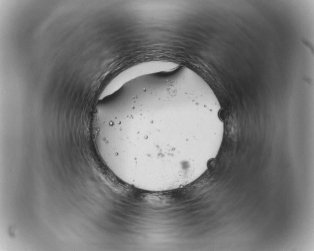 X0000102240568200808151756