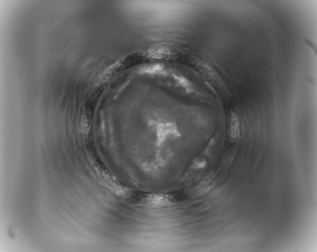 X0000102240569200808151756