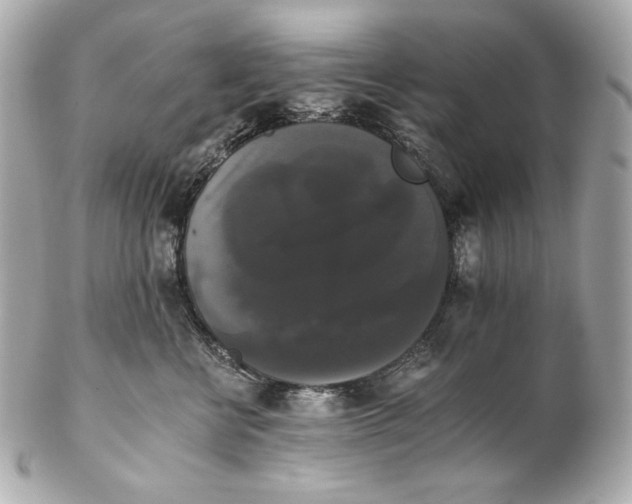 X0000102240570200808151756