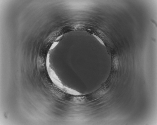 X0000102240571200808151756