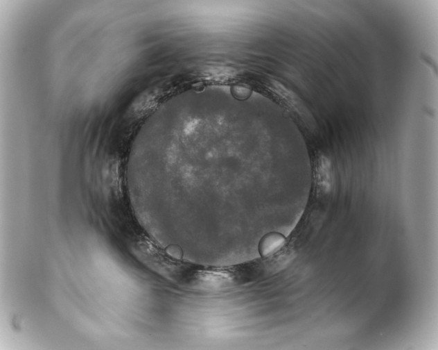 X0000102240572200808151756