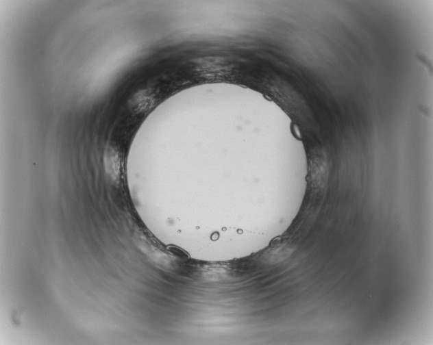 X0000102240574200808151756