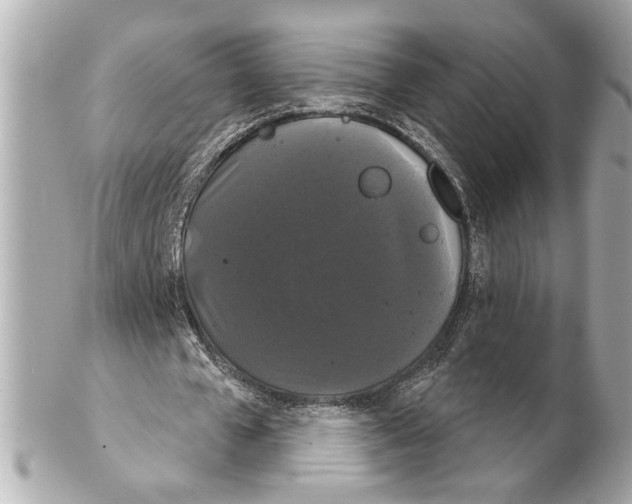 X0000102240577200808151755