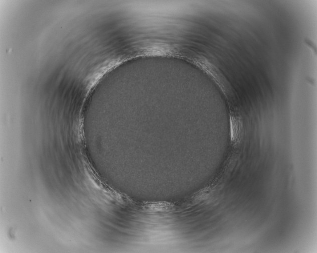 X0000102240579200808151755