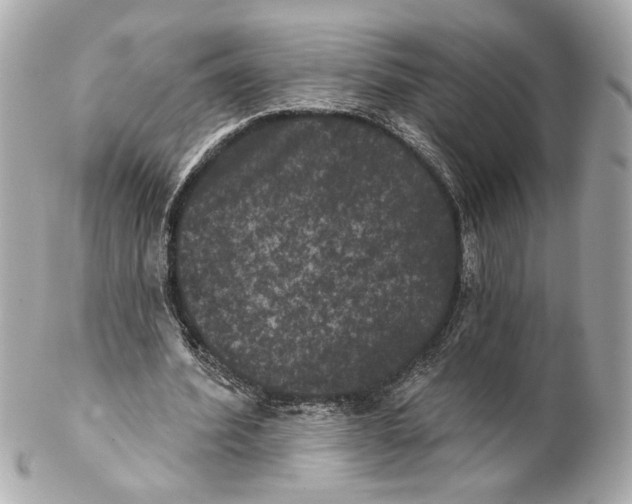 X0000102240580200808151755