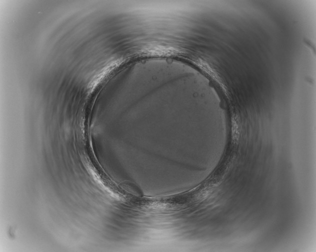 X0000102240581200808151755