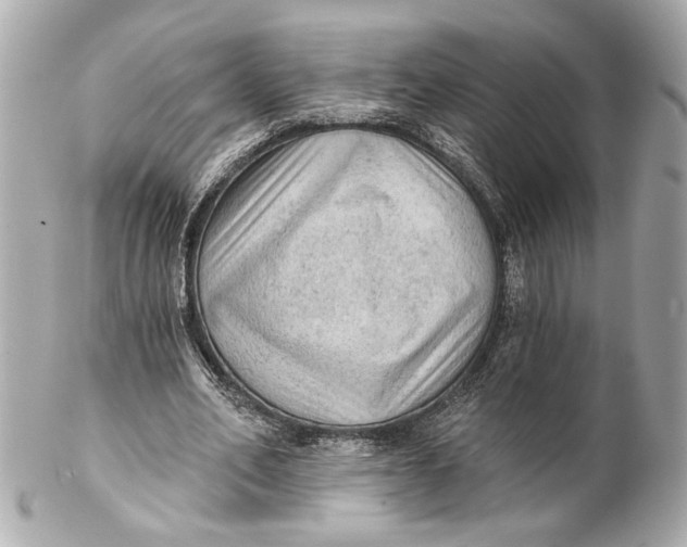 X0000102240582200808151755