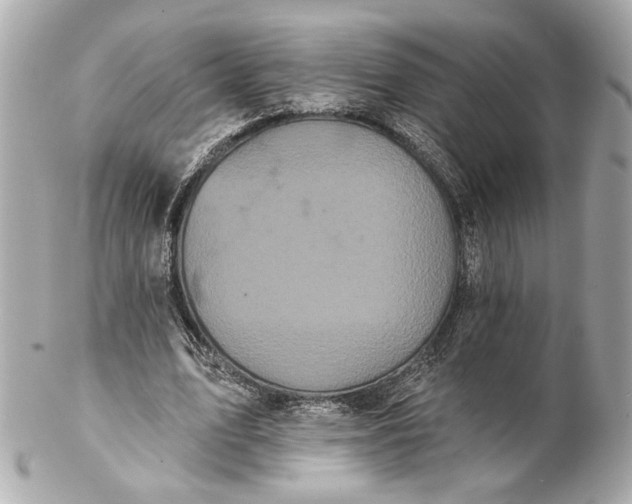 X0000102240583200808151755