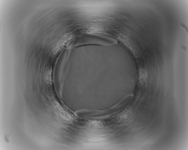 X0000102240585200808151755