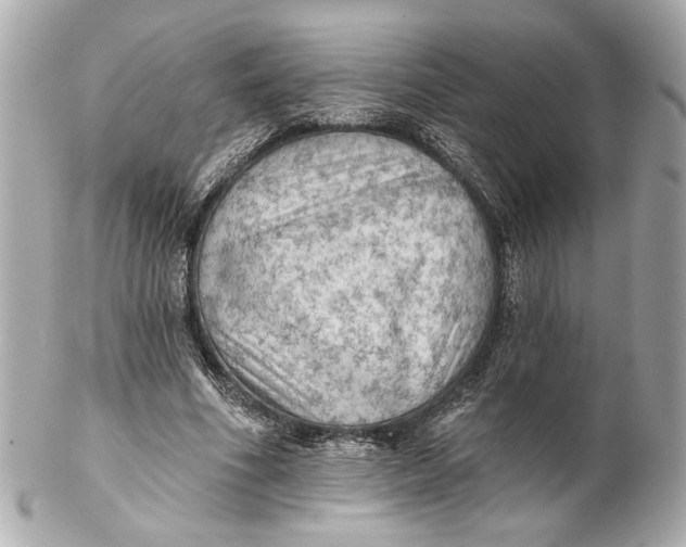 X0000102240586200808151755