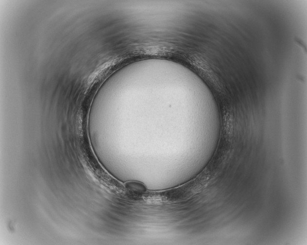 X0000102240587200808151755