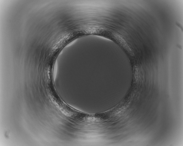 X0000102240590200808151755