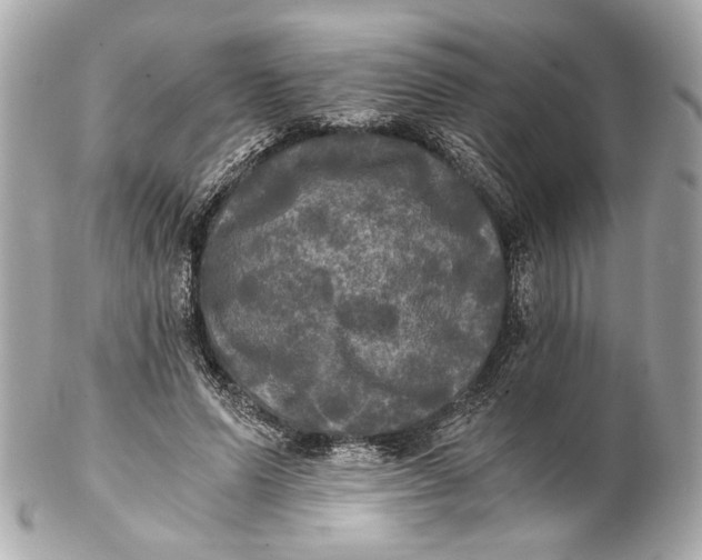 X0000102240591200808151755