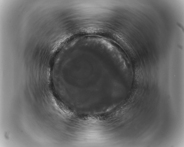 X0000102240592200808151755