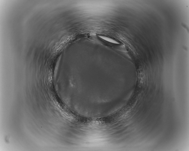 X0000102240593200808151755