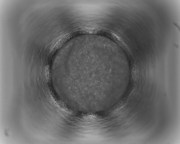 X0000102240594200808151755