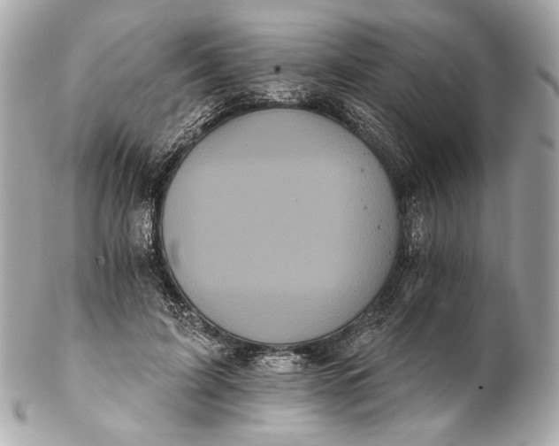 X0000102240595200808151755