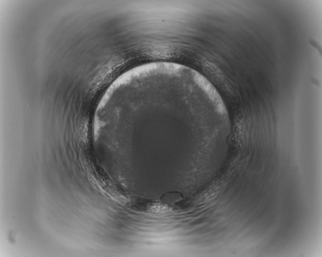 X0000102240596200808151755