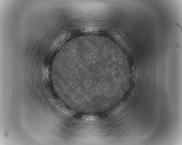 X0000102240597200808151755