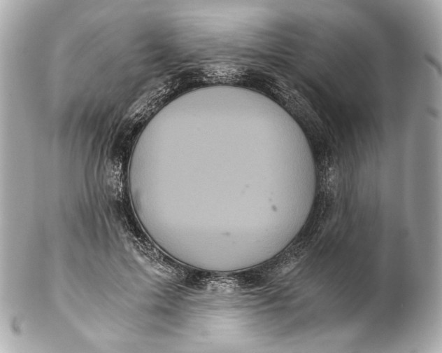 X0000102240599200808151755