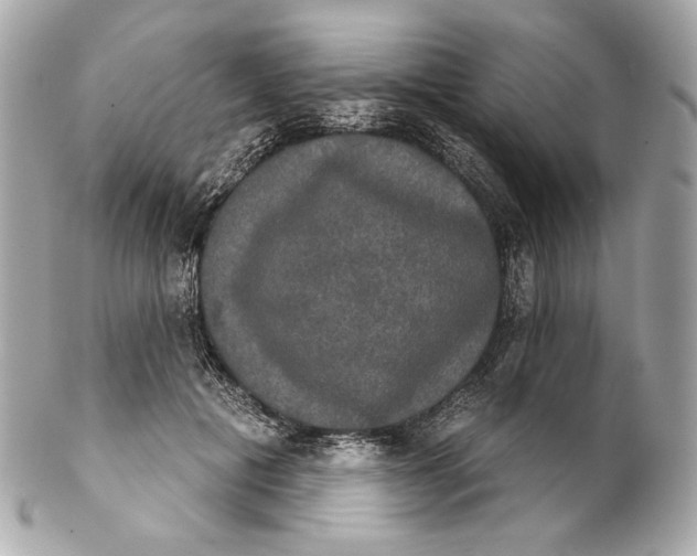 X0000102240601200808151755