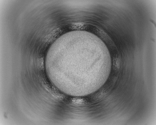 X0000102240602200808151755