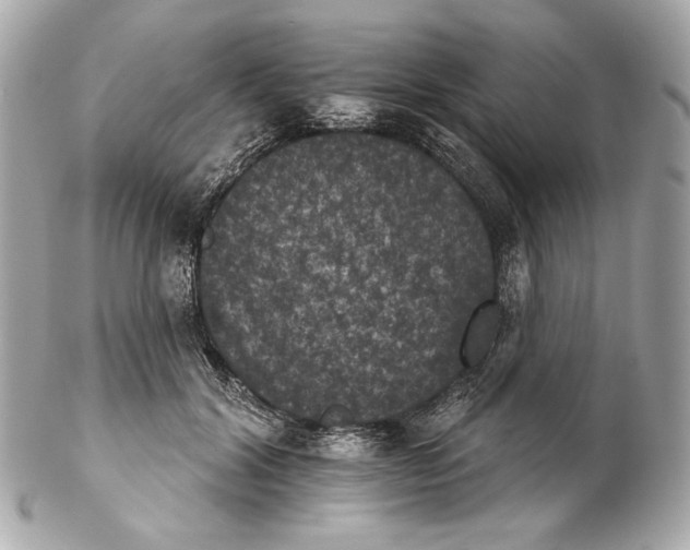 X0000102240604200808151755