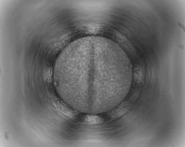 X0000102240605200808151755