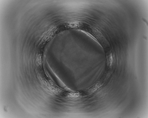 X0000102240606200808151755