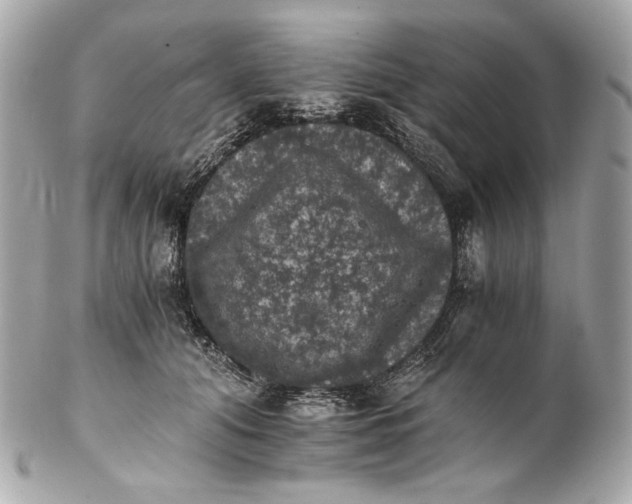 X0000102240608200808151755