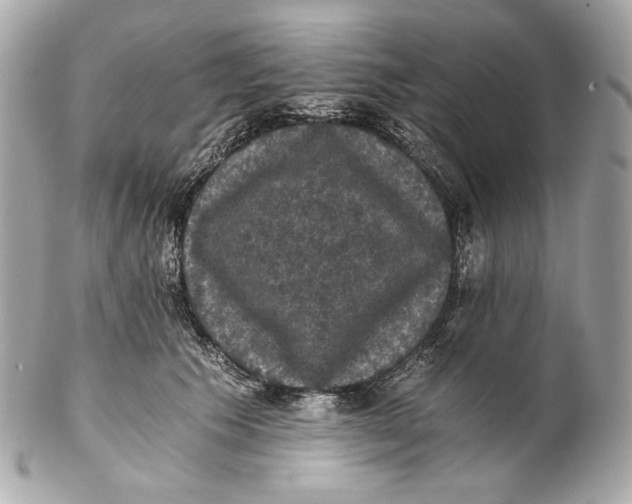 X0000102240609200808151755