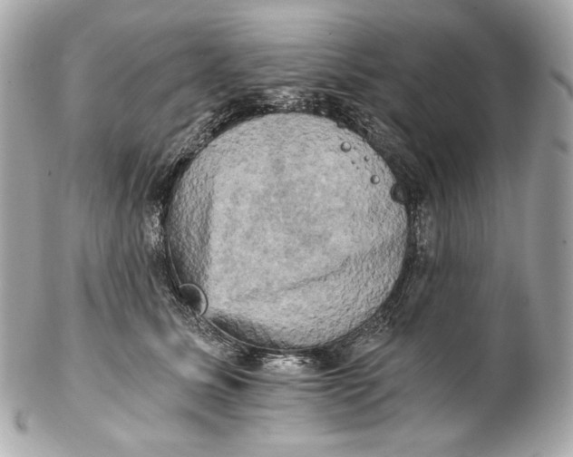 X0000102240611200808151755