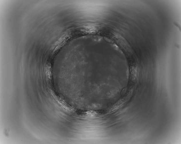 X0000102240612200808151755