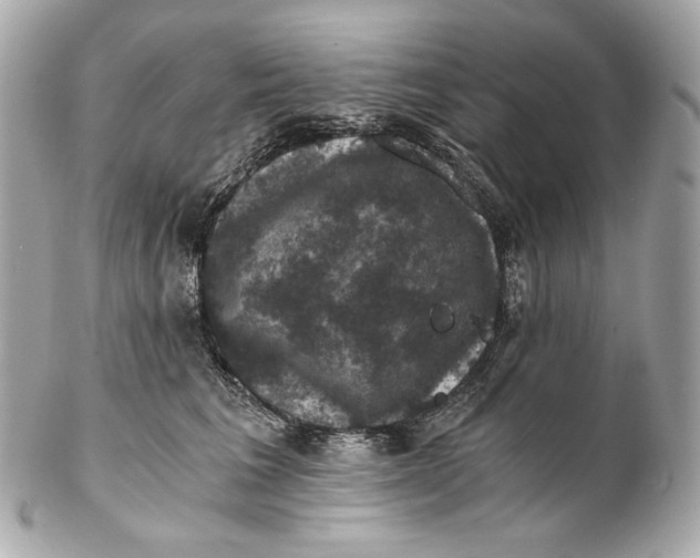 X0000102240613200808151755