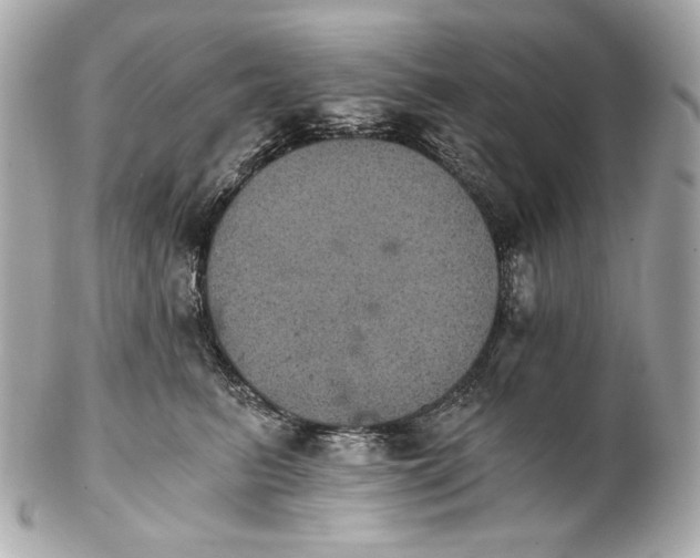 X0000102240615200808151755