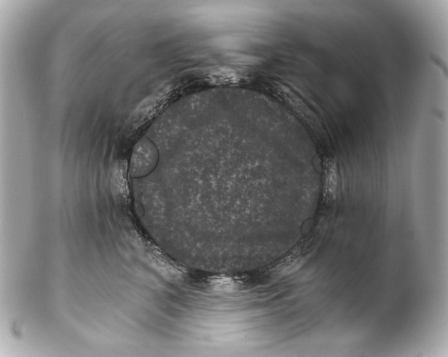 X0000102240616200808151755