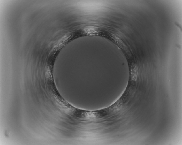 X0000102240618200808151755