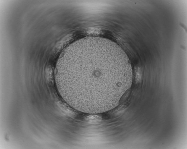 X0000102240619200808151755