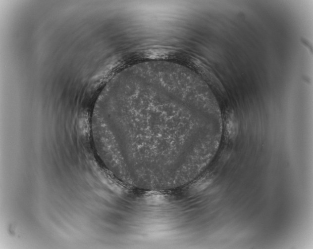 X0000102240620200808151755