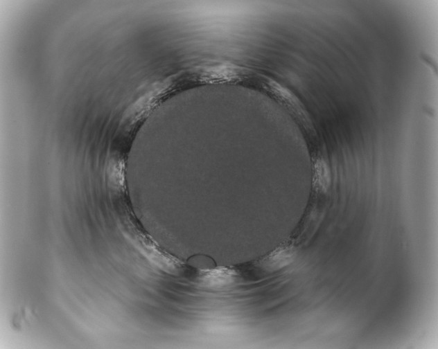 X0000102240621200808151755