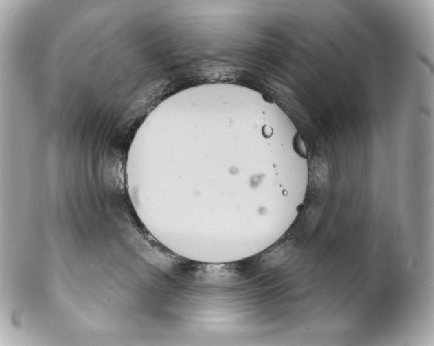 X0000102240622200808151755