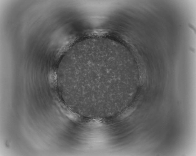 X0000102240624200808151755