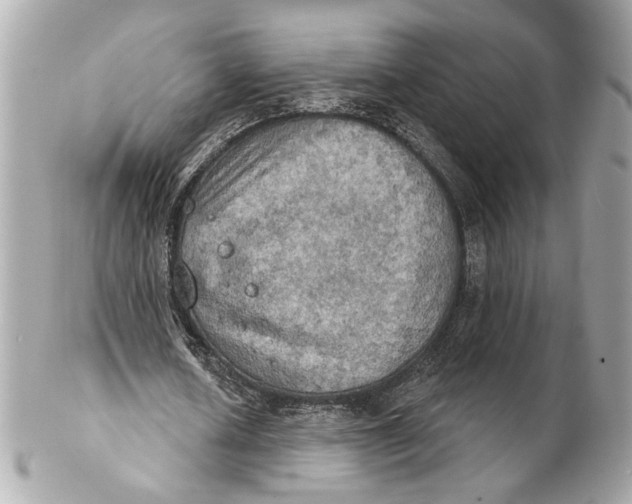 X0000102240626200808151754