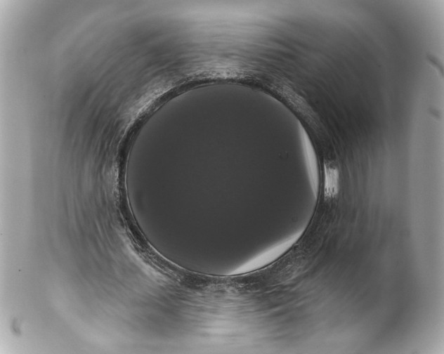 X0000102240627200808151754