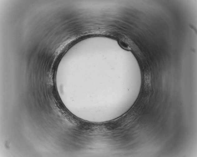 X0000102240628200808151754