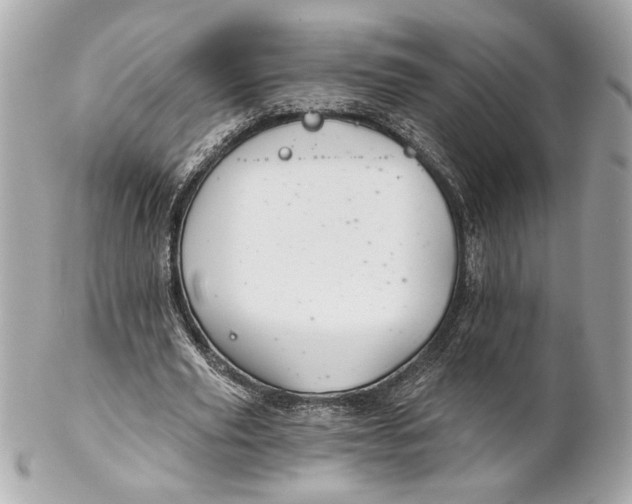 X0000102240629200808151754