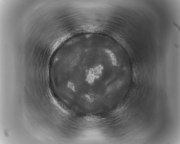 X0000102240630200808151754